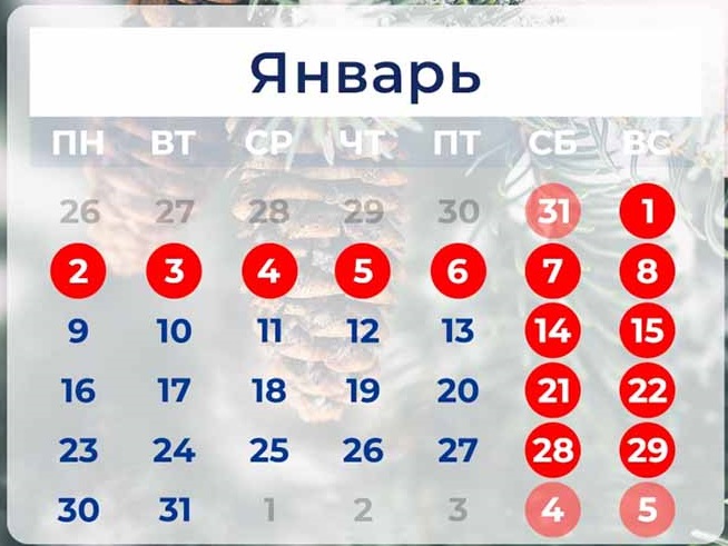 Выходной день от 23 февраля переносится на майские праздники